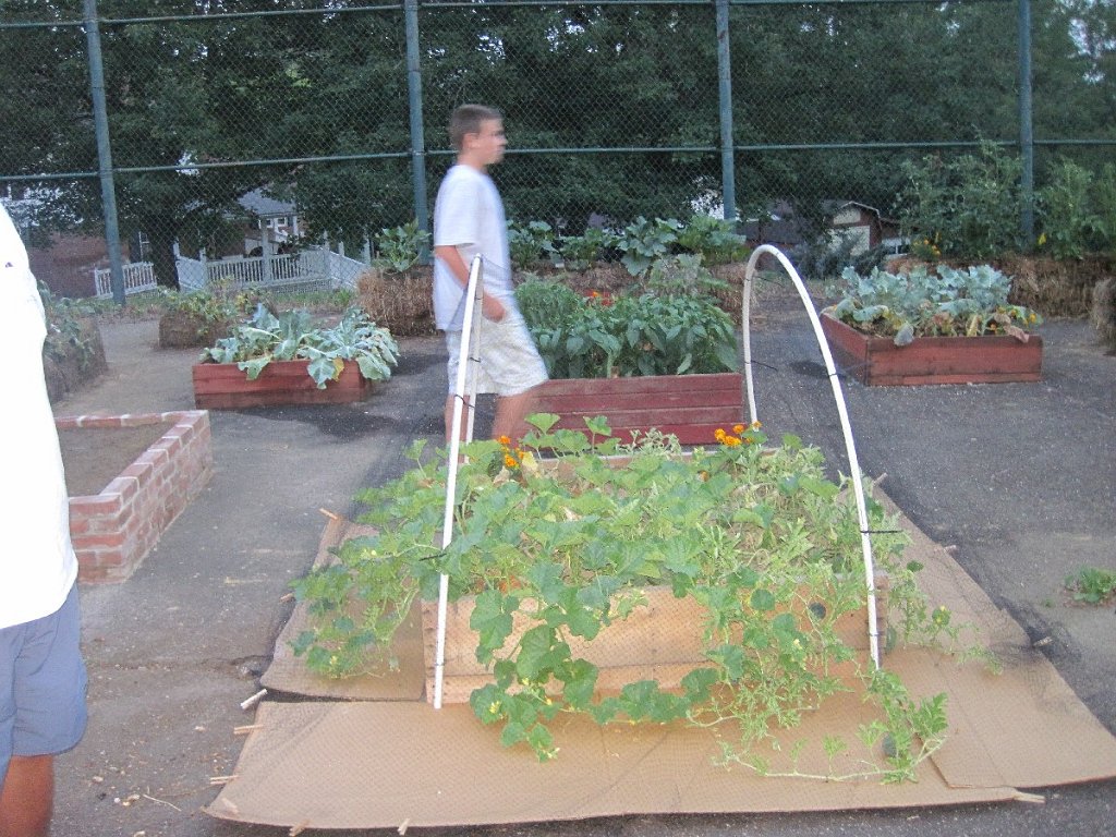 100-Travis in garden.jpg